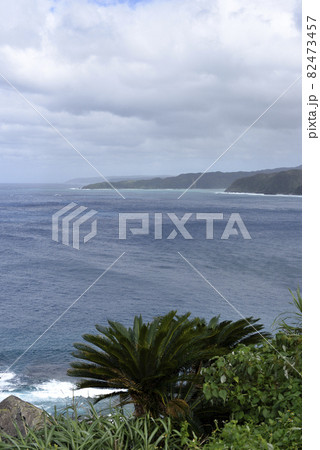 奄美大島の公園から見える海岸風景　大和大金久 82473457