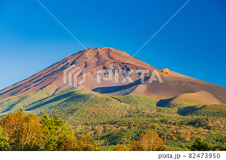 （静岡県）紅葉が始まった、富士山 82473950