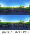 Full spherical 3D 360 degree panorama view, Forest and Park 360 image, VR AR content. 82473967