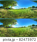 Full spherical 3D 360 degree panorama view, Forest and Park 360 image, VR AR content. 82473972
