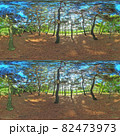 Full spherical 3D 360 degree panorama view, Forest and Park 360 image, VR AR content. 82473973