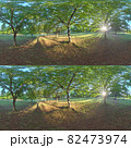 Full spherical 3D 360 degree panorama view, Forest and Park 360 image, VR AR content. 82473974