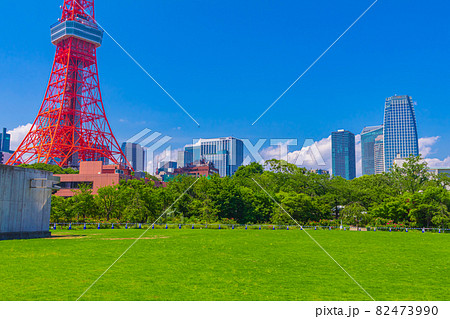 【東京の都市風景】東京タワー（芝公園） 82473990