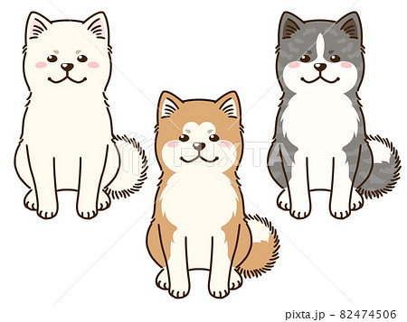 秋田犬三色 82474506