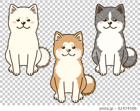 秋田犬三色 82474506