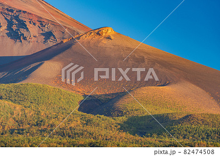 （静岡県）草紅葉が美しい、富士山・宝永山付近 82474508