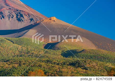 （静岡県）草紅葉が美しい、富士山・宝永山付近 82474509