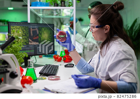 Biologist researcher woman writing gmo expertise while holding petri dish with bio beef meat 82475286