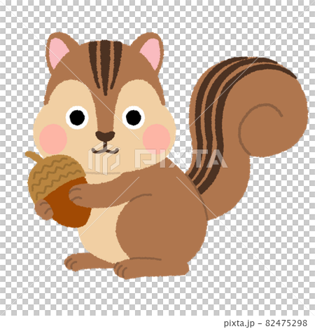 リスのイラストのイラスト素材 [82475298] - PIXTA