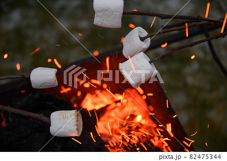 Roasting marshmallow on a fire at the evening. 82475344