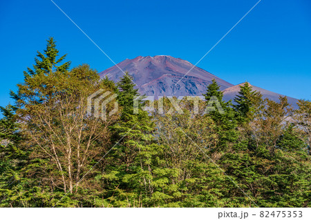 (静岡県)紅葉が始まった水ヶ塚公園から望む、富士山 (静岡県)紅葉が始まった水ヶ塚公園から望む、富士山 82475353