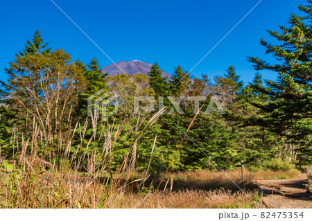 （静岡県）紅葉が始まった水ヶ塚公園から望む、富士山 82475354