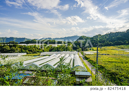 ブドウ園 生坂村 ブドウ園 生坂村 82475418