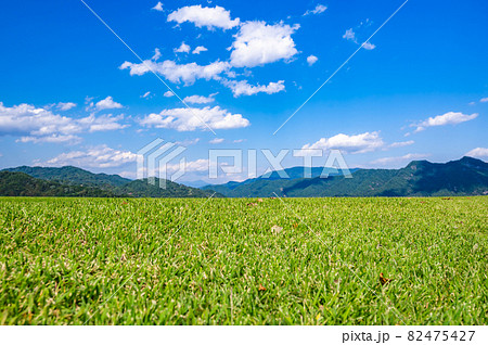 芝生広場 82475427