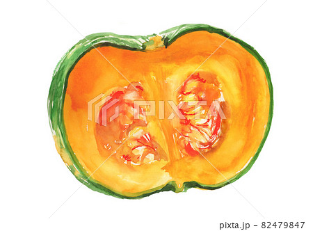 水彩で描いたかぼちゃのイラスト 82479847