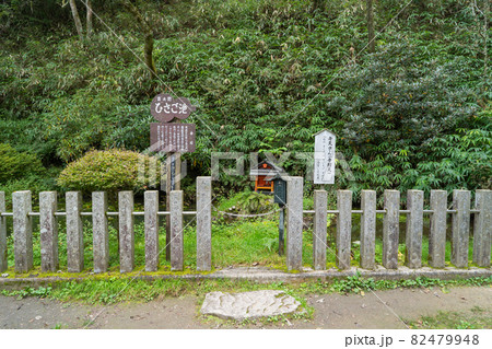 転法輪寺にあるひさご池(金剛山) 転法輪寺にあるひさご池(金剛山) 82479948
