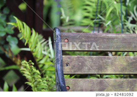 公園のベンチ 82481092