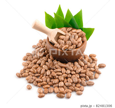 Pinto beans in wooden spoon and wooden bowl an isolated on white background Pinto beans in wooden spoon and wooden bowl an isolated on white background 82481306