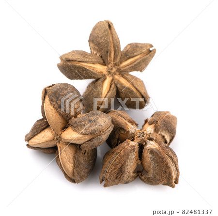 Nuts Incas , sacha inchi peanut seed an isolated on white background Nuts Incas , sacha inchi peanut seed an isolated on white background 82481337