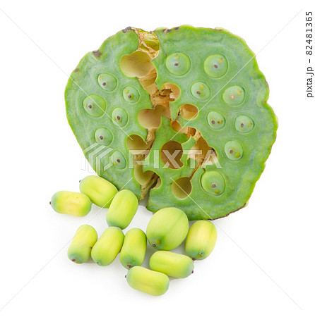lotus seeds close up on white background lotus seeds close up on white background 82481365