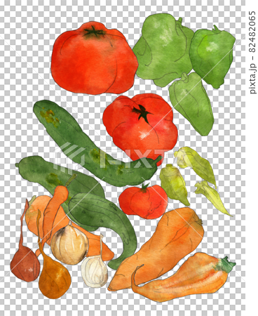 ふぞろい野菜 水彩 イラスト オクラ トマト キュウリ 玉ねぎ ピーマン 人参 のイラスト素材 4065