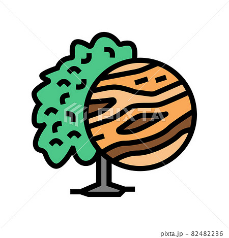 mango wood color icon vector illustration mango wood color icon vector illustration 82482236
