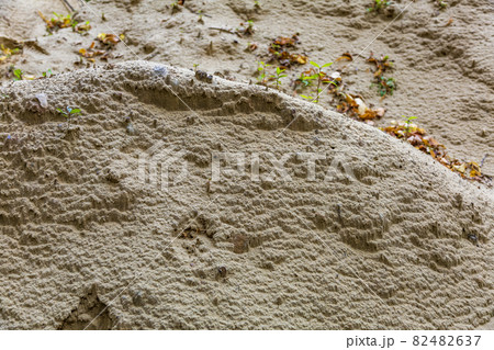 A pile of yellow construction sand interspersed with plants 82482637