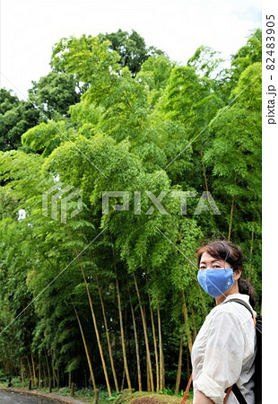 皇居内散歩中の女性ツーリストと竹林 82483905