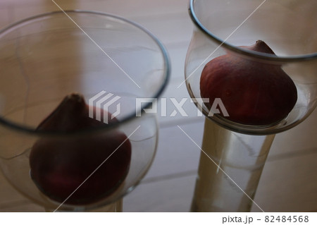 チューリップ ◦○°◯°○。水栽培°○°◯°○。 チューリップ ◦○°◯°○。水栽培°○°◯°○。 82484568