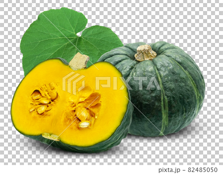 Pumpkin Pumpkin Pumpkin Illustration Real Set 82485050