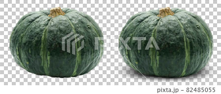 Pumpkin Pumpkin Pumpkin Illustration Real Pumpkin Pumpkin Pumpkin Illustration Real 82485055