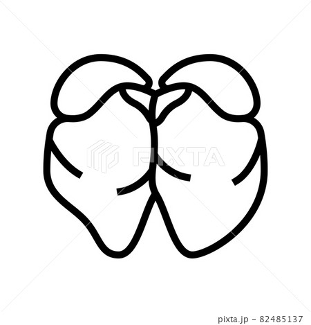 liver chicken line icon vector illustration 82485137