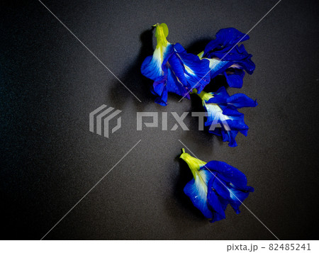 Blue petal of Butterfly Pea flower Blue petal of Butterfly Pea flower 82485241