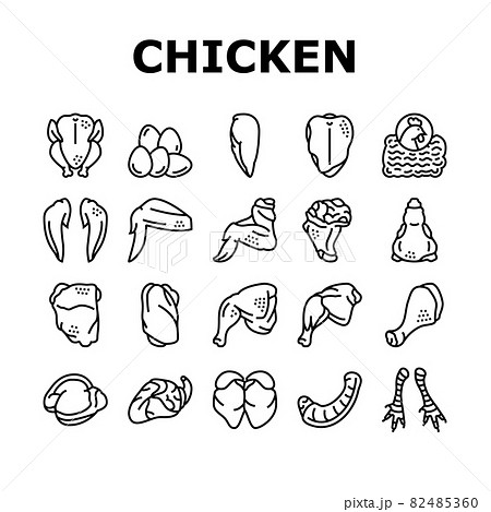 Chicken Animal Farm Raw Meat Food Icons Set Vector Chicken Animal Farm Raw Meat Food Icons Set Vector 82485360