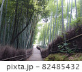 京都嵐山　竹林の小径 82485432