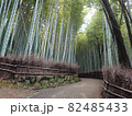 京都嵐山　竹林の小径 82485433