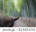 京都嵐山　竹林の小径 82485434