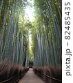 京都嵐山　竹林の小径 82485435