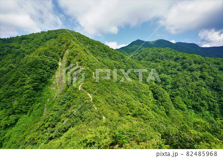 粟ヶ岳6合目からの稜線への登山道 82485968
