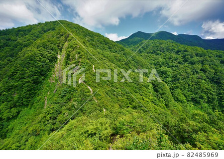 粟ヶ岳6合目からの稜線への登山道 82485969