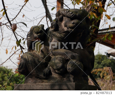 神社の守護神狛犬子連れ獅子 82487013