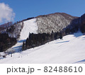 野沢温泉スキー場 82488610