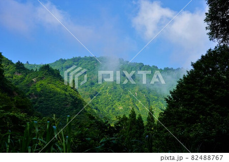 登山道からの会津朝日岳の山稜 登山道からの会津朝日岳の山稜 82488767