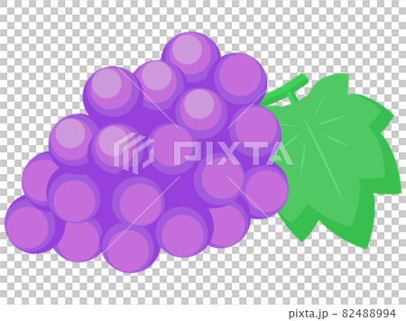 美味しいブドウのシンプルでかわいいイラストのイラスト素材 4894 美味しいブドウのシンプルでかわいいイラストのイラスト素材 4894