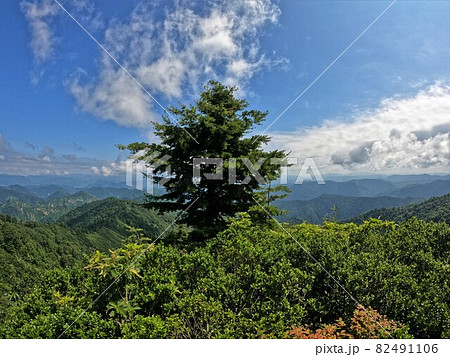 会津朝日岳の人見ノ松 会津朝日岳の人見ノ松 82491106