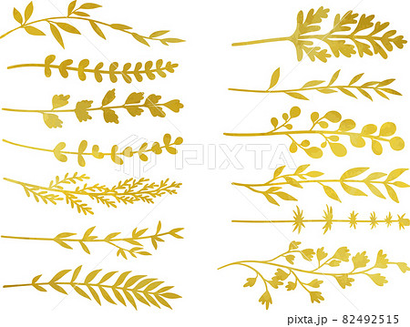 ゴールドのリーフ 植物のラインセット ベクター素材のイラスト素材