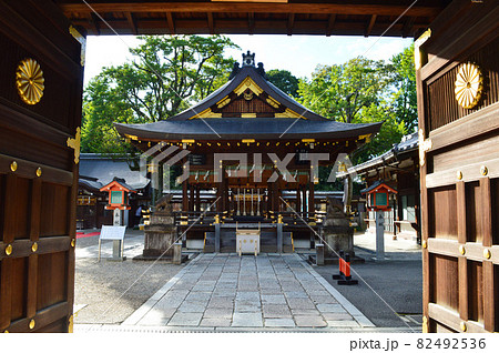 秋の午後に参拝した猪を祀る京都市護王神社の拝殿が絢爛豪華 秋の午後に参拝した猪を祀る京都市護王神社の拝殿が絢爛豪華 82492536