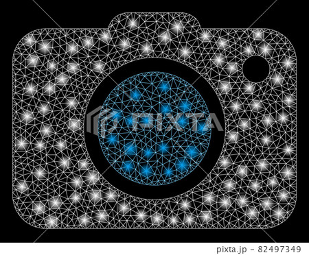 Flare Mesh Carcass Photo Camera with Flare Spots Flare Mesh Carcass Photo Camera with Flare Spots 82497349