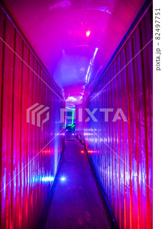 岐阜県　飛騨大鍾乳洞 82497751