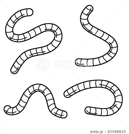 Earthworm. Insect worm set. Bait for fishing. Earthworm. Insect worm set. Bait for fishing. 82498820